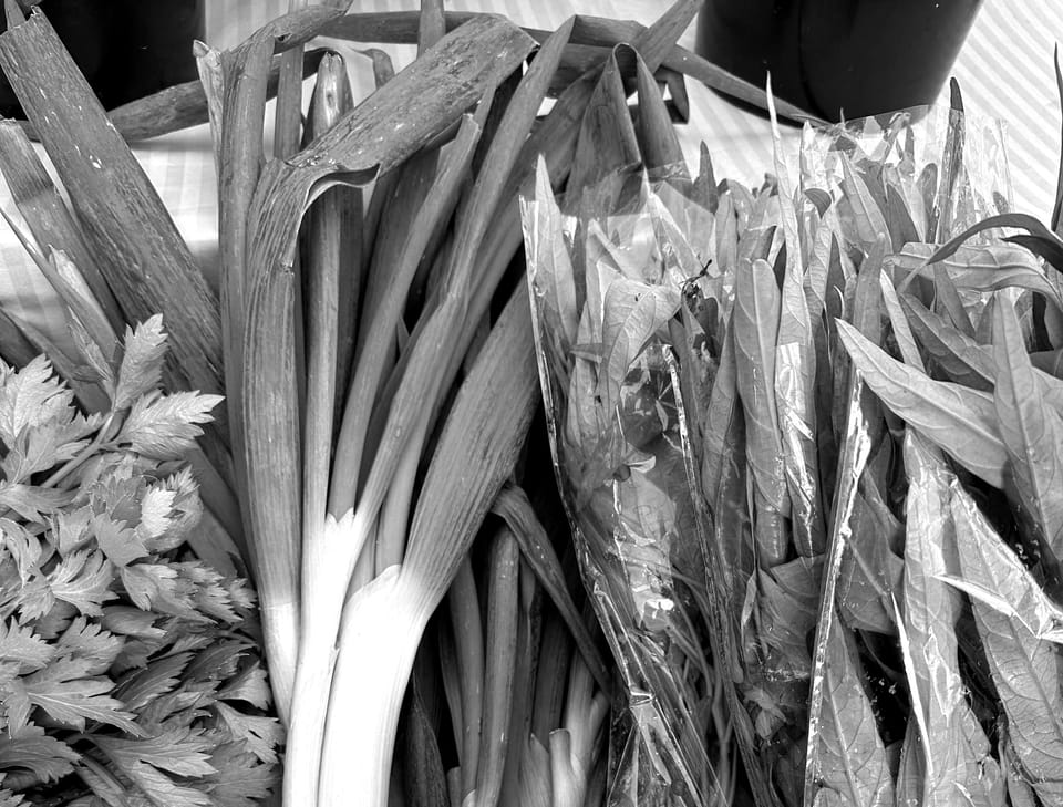 A black and white photo of celery, giant scallions, and other greenery. 